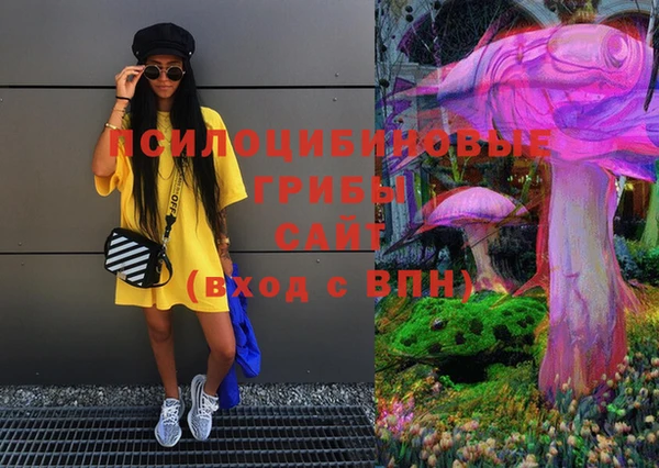 MDMA Осинники