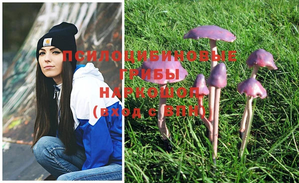 прущая мука Остров